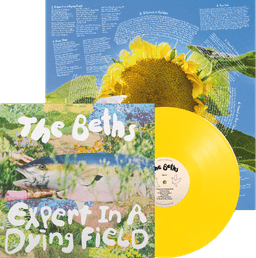 Expert In A Dying Field - Canary Yellow LP thumbnail